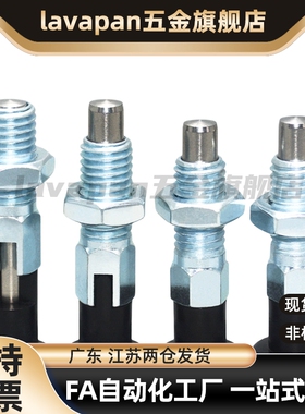 PXAT分度销 PXKT不锈钢复位旋钮柱塞圆头型 SXPKT SXPAT6 8 10 12