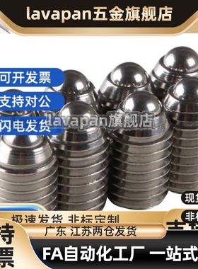 高品质不锈钢球头柱塞 BSZF BSX 3 4 5 6 8 10 12 16