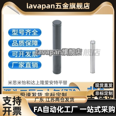 CDGH4/CCG6/12/SCCG10/CDG8-15/20/25/30/35/40/50/3 SCDG5铰链销