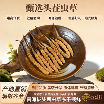 野生冬虫夏草头茬虫草高海拔头期冬虫草干货产地直发源头批发