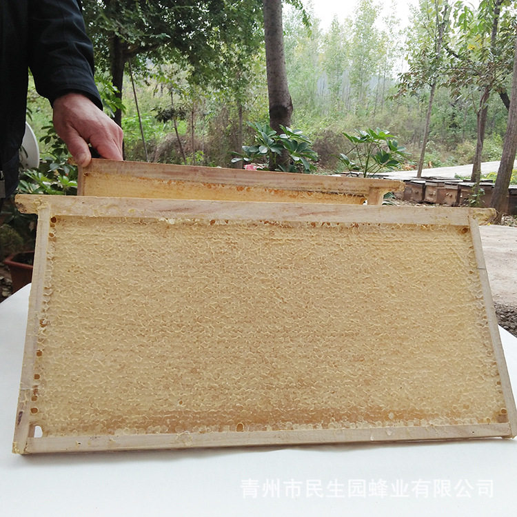 蜂巢蜜 整板散装蜂巢蜂蜜5斤-6斤 蜂巢蜜 可切割装瓶蜂窝蜜 蜂蜜