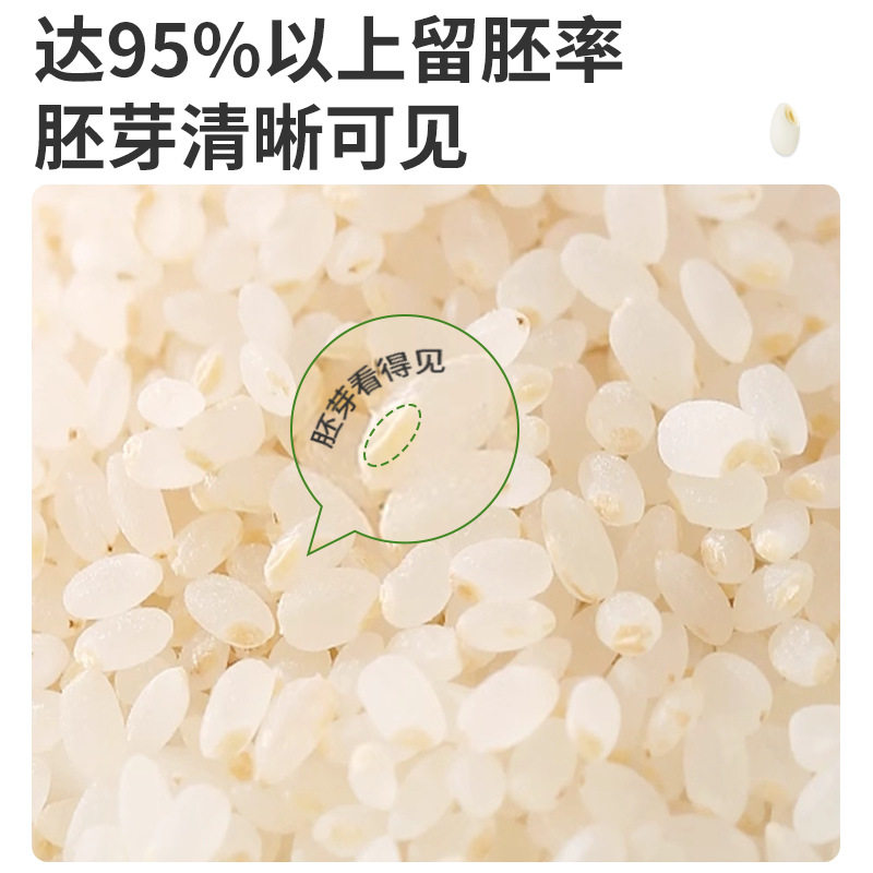 有机胚芽米东北大米罐装新米五常大米主食香软糯易煮
