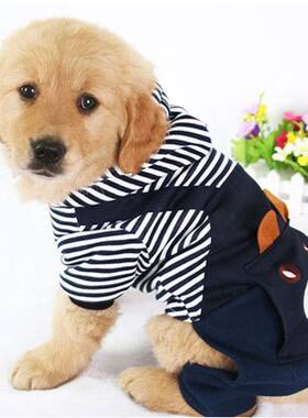 金毛衣服新款大狗衣服春秋款