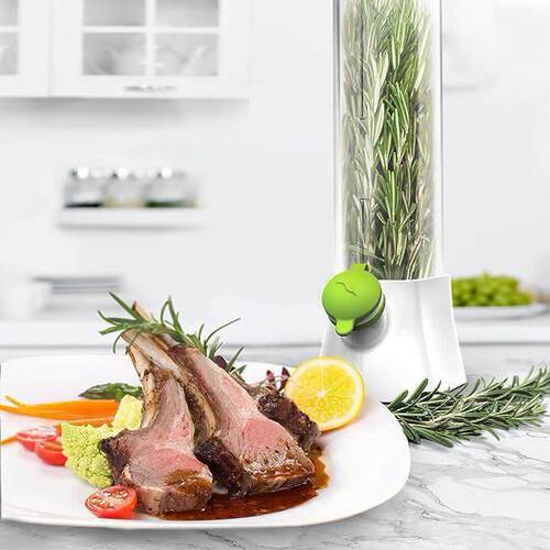 Herb Vegetable Storage Box Rosemary parsley preserver fresh