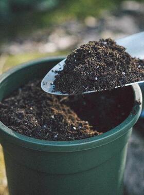 Organic Potting Soil Mix Nutrient Rich Coco Coir Worm Castin