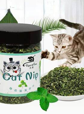 Organic 100% Natural High Quality Catnip Cattle Grass Mint