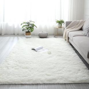 Room Bedroom Mat Carpet 地毯子 Floor Living Rug Plush Fluffy