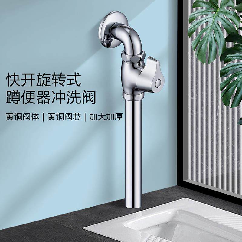 莱尔诗丹旋转式大便1寸冲洗阀卫生间蹲便器冲水阀蹲便按压延时阀
