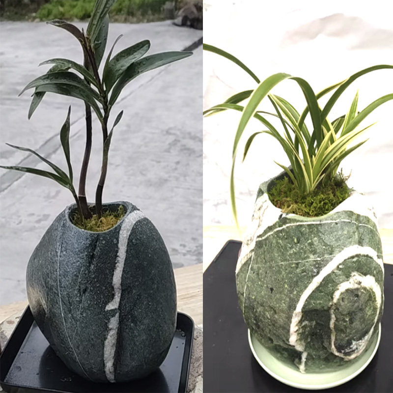 天然鹅卵石头花盆创意水培多肉种植原生态菖蒲铜钱草花瓶水仙包邮