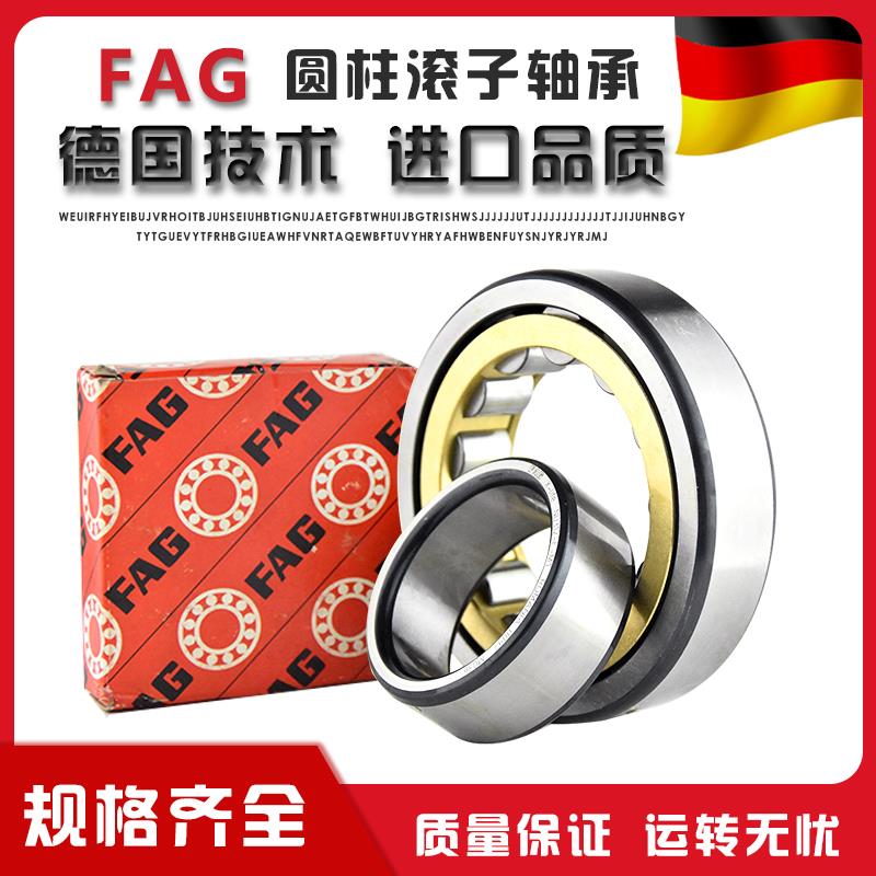 德国FAG进口轴承NU NJ 208 209 210 NU211 NU212 NU213E.TVP/E.M1