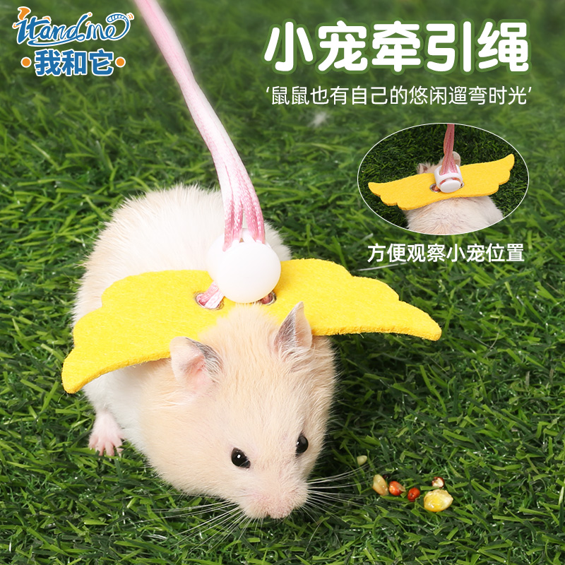 荷兰猪仓鼠牵引绳防挣脱可调节