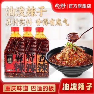 向料油泼辣子红油调料拌菜拌面拌粉油辣子调料方面调料麻辣鲜香