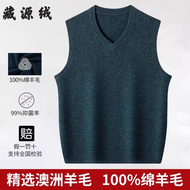 2025春季新款羊毛衫男100纯羊毛