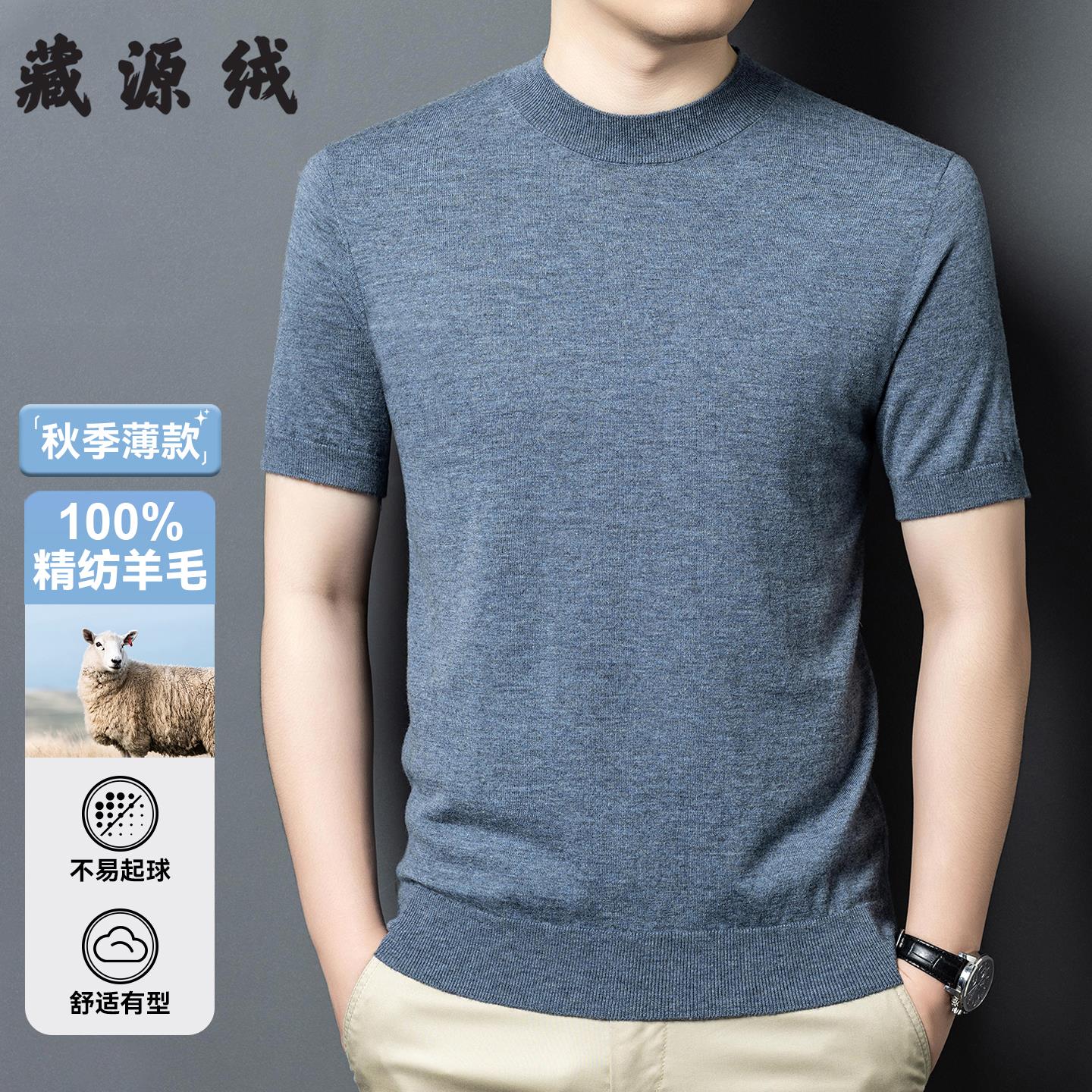 2025秋季短袖羊毛衫男士100纯