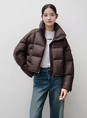 arioser艾诺丝娃官方旗舰店2025冬款保暖立领短款羽绒服AR004143