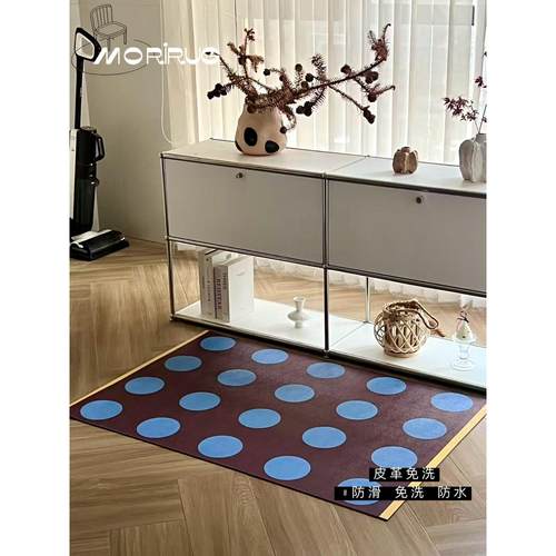 盐系中古包豪斯高级感入户门客厅皮革防水免洗地垫pvc可裁剪地毯