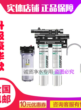 爱惠浦净水 商用双联MC2奶茶店大流量直饮水机过滤器咖啡