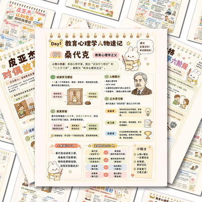 48张教资背诵教育学理论知识点贴纸皮亚杰必考的认知发展四阶段图