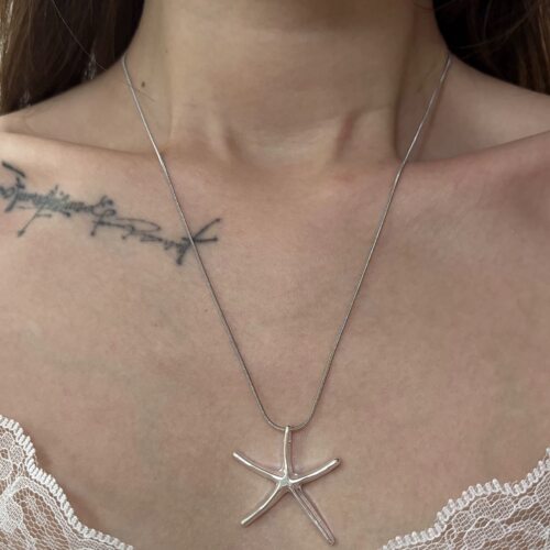 极简风海星吊坠项链女小众设计简约百搭锁骨链ins高级感时尚颈链