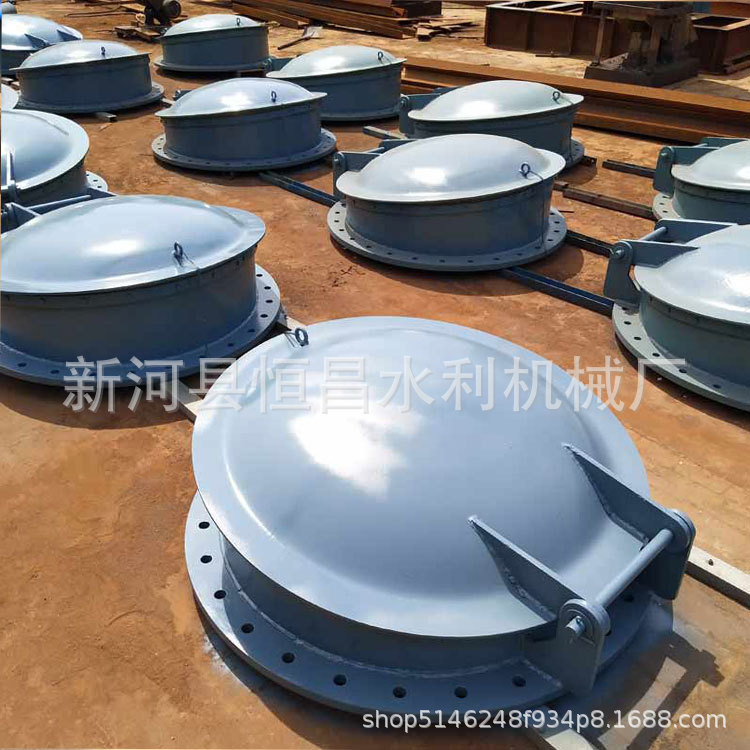 DN600玻璃钢拍门1.5米铸铁拍门800不锈钢2米碳钢HDPE复合拍门