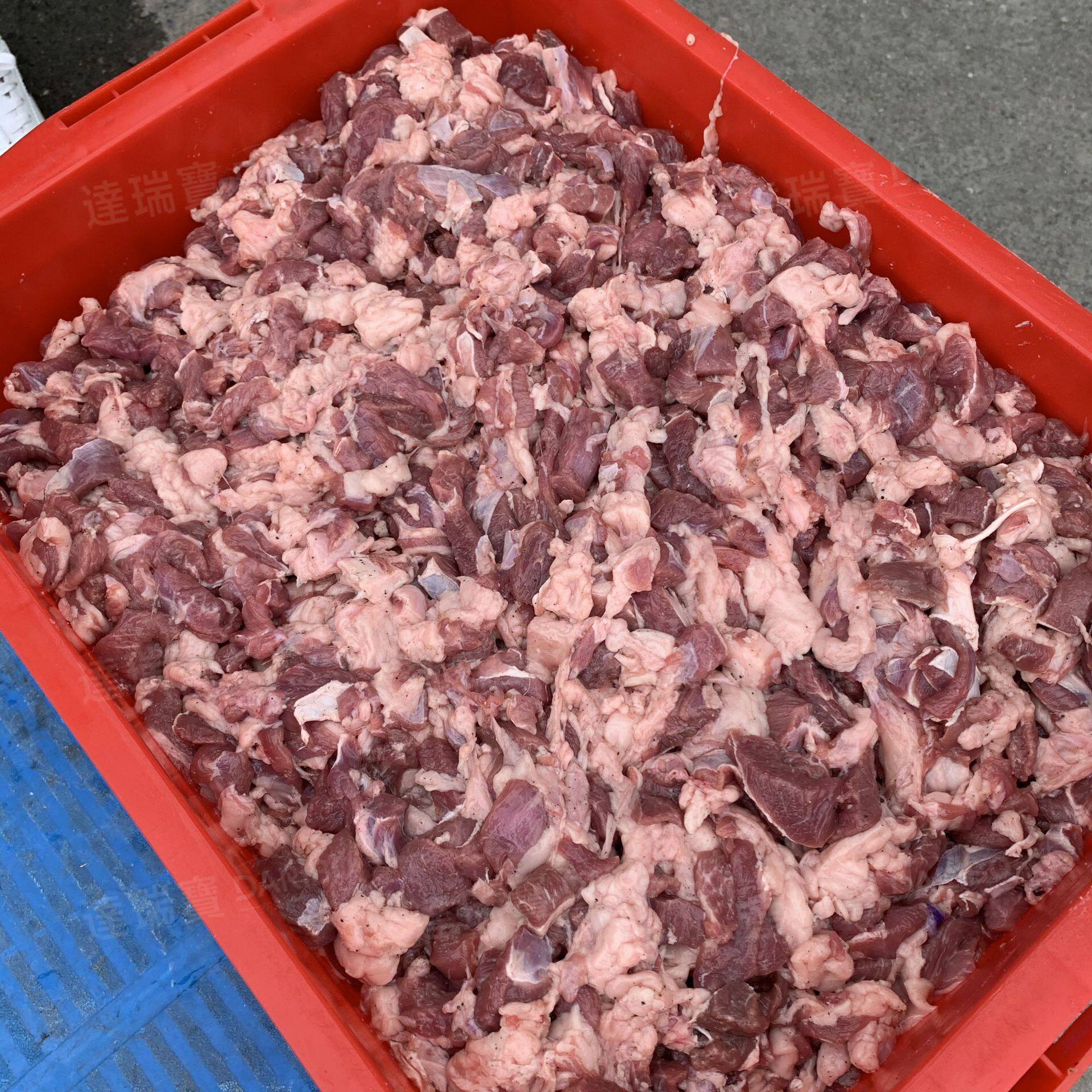 W不锈钢肉类入味腌肉机 鸭肉烧鸡真空滚揉机猪肉羊肉牛肉腌制设备