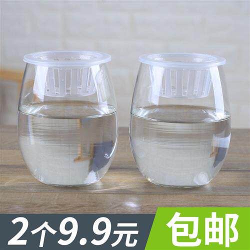 2个9.9元简约透明玻璃花瓶水培植物黄金葛花瓶铜钱草花盆桌面插花