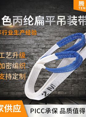 白色吊装带2吨 起重吊带 耐酸洗吊带2T 扁平加厚吊带1T3T4T5T7T8T