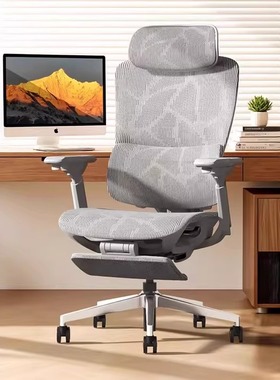 乐瓦ENOVA时尚家人体工学椅宿舍电竞椅家用电脑椅护腰舒适办公椅