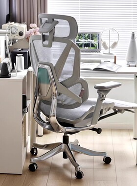 乐瓦ENOVA合金大师人体工学椅子家用舒适久坐办公椅电竞电脑座椅