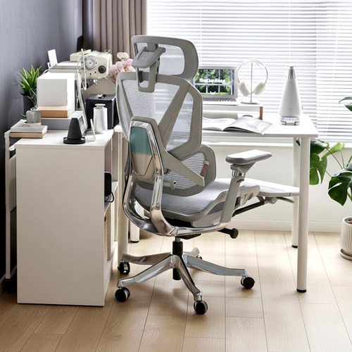 乐瓦ENOVA合金大师人体工学椅