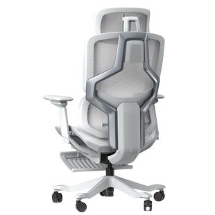 乐瓦ENOVA自由家人体工学椅办公座椅舒适学习电竞椅撑腰椅电脑椅