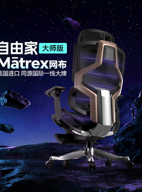 ENOVA乐瓦自由家人体工学椅办公座椅舒适学习电竞椅撑腰椅电脑椅
