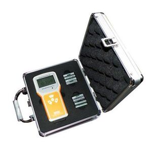 NT6106型便携式防护级Xγ辐射剂量率仪