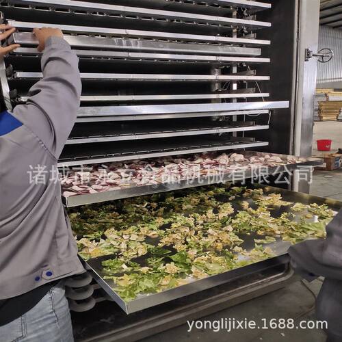 FD冻干 诸城食品机械低温真空冷冻干燥机 全自动脱水设备冻干机器