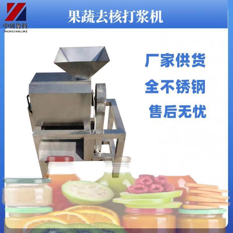 商用大型水果榨浆机 工业用果酱加工设备 单道芒果青梅去核打浆