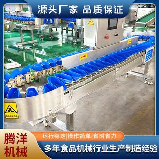 海参重量分选机 生蚝分级机 自动翻盒在线鸡爪分拣机