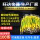 6平方紫铜 黄绿双色光伏接地线 桥架配电箱门窗跨接地连接线2.5