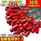 一次性钢丝封条物流锁签扎带防盗封铅锁扣油罐车封签钢丝铅封 包邮