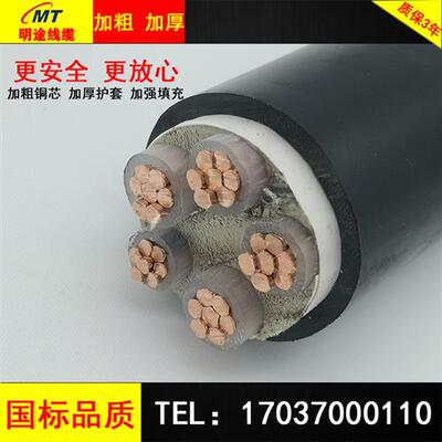 国标铜芯铠装电缆ZR-YJV22VV2/3/4/5芯10/16/25/35平方电力电源线