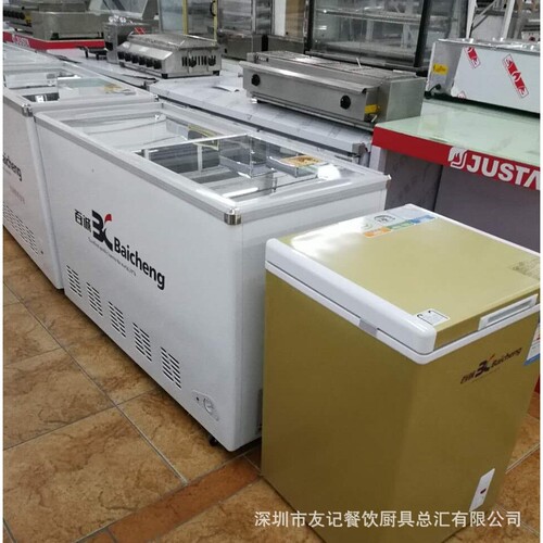 百诚雪糕柜小型冷冻柜新款冰柜冷藏柜新品保鲜冷藏设备