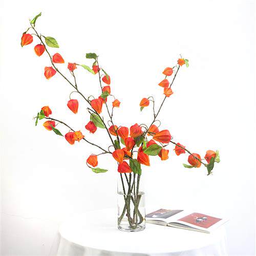 NA家花房仿真酸浆果灯笼花秋色红色果垂吊假花植物瓶花套装装饰品