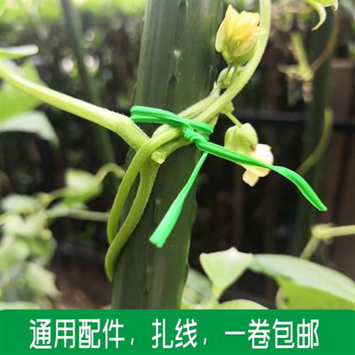 园艺扎线带切割器包塑扎线电线捆绑扎丝园艺diy扎带铁丝50米20米