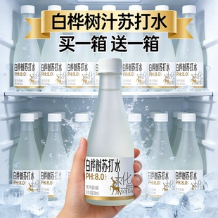 冲量特惠买一送一白桦树汁苏打水天然微气泡整箱囤货破损包赔速发