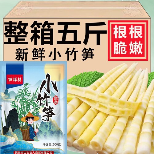 竹笋新鲜笋尖野生小竹笋江西农家特产清水笋片春笋火锅笋子嫩笋尖