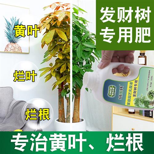 发财树肥料室内专用肥营养液龙血树铁树平安幸福通用植物花草盆栽