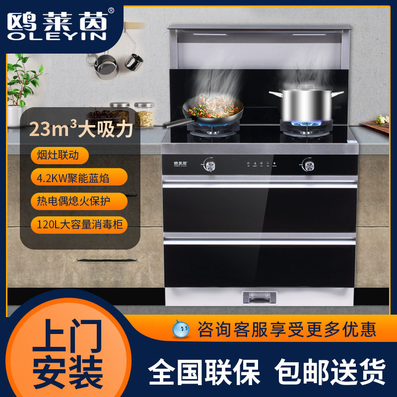 集成灶家用蒸烤一体灶厨房烟灶消天然气液化气下排式集成灶