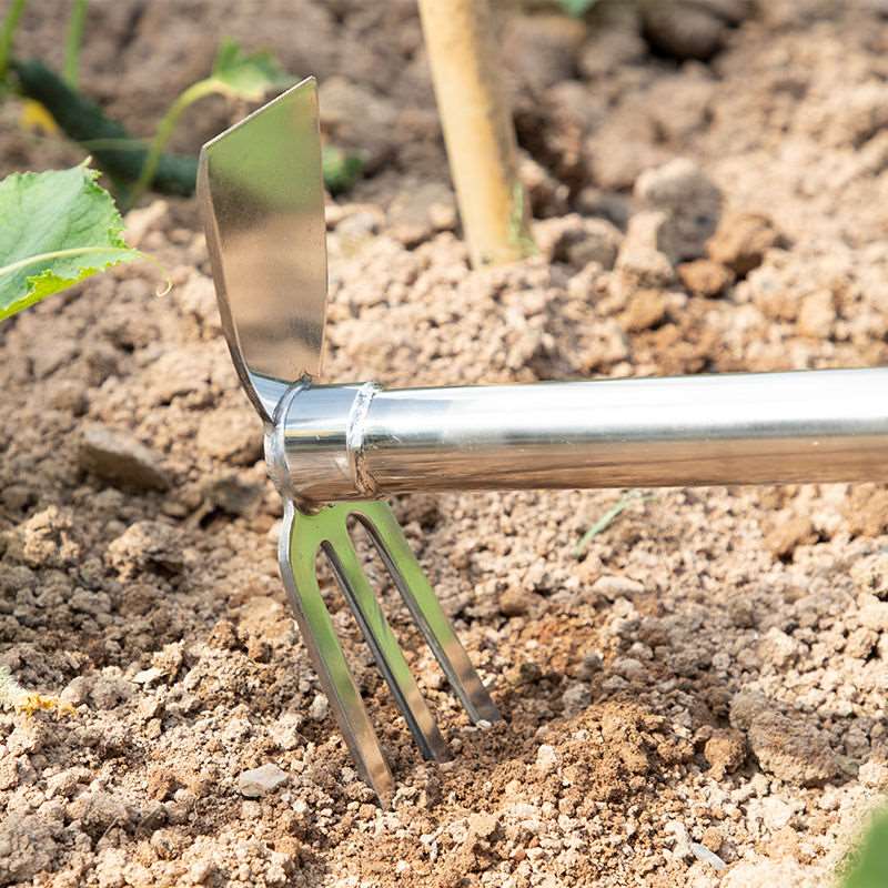 挖笋专用锄头挖冬笋栽菜新型农用工具小型挖土神器种地种田农具
