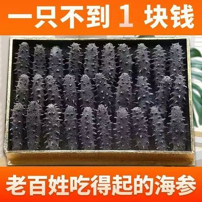速发淡干海参!黑刺参新鲜海参干货非大连辽刺参足干无添加深海参