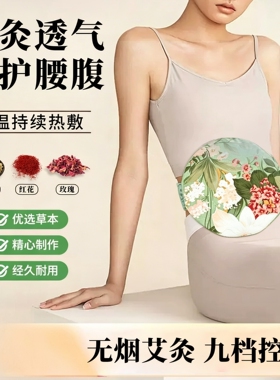 电加热无烟艾灸宝控温热敷护腰