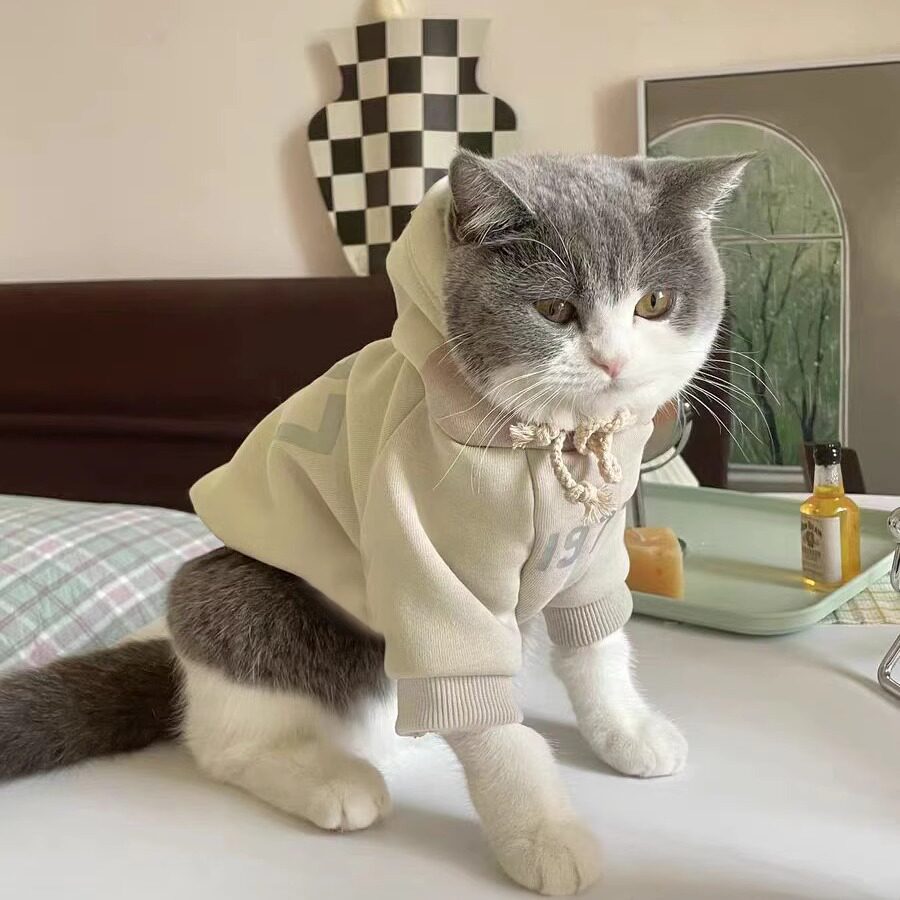 宠物猫咪衣服新款洋气秋